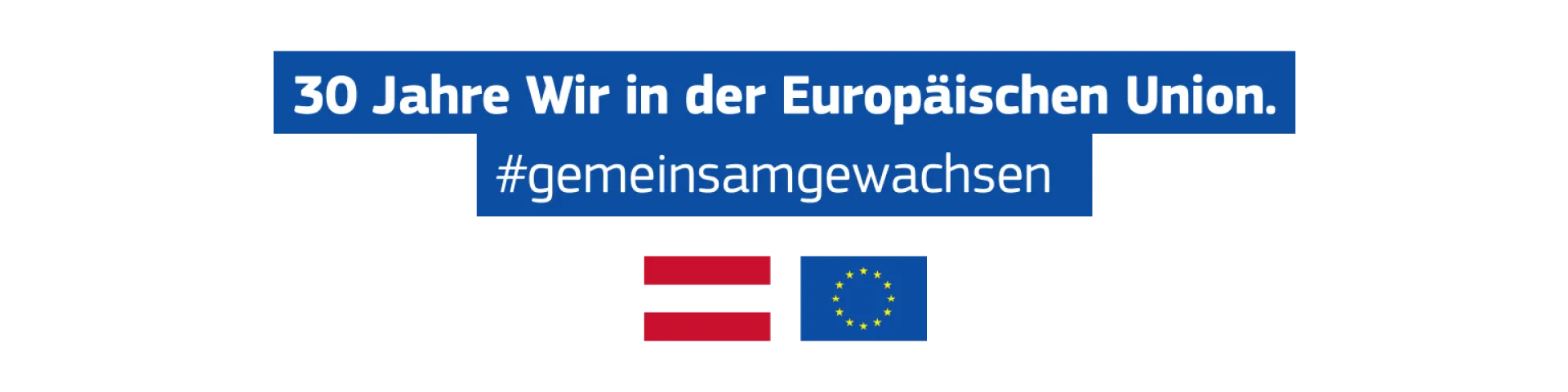 Abblende Grafik 30 Jahre Wir in der Europäischen Union_2